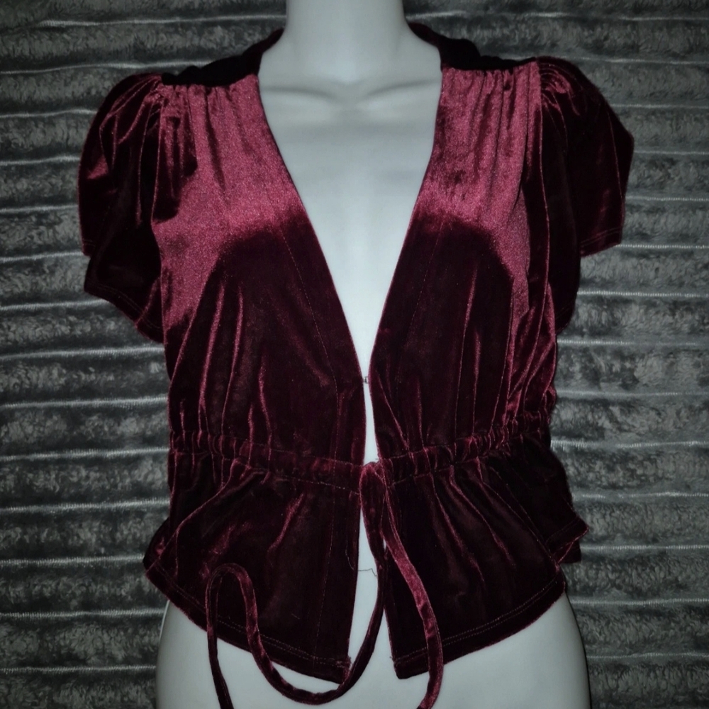 Velvet Burgundy Short Sleeve Top